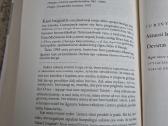 Puiki knyga "Aštuoni lapai. Devintas lapas" - nuotraukos Nr. 6