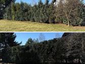 Sodo vejos pjovimas. Apleistų sklypu tvarkymas! - nuotraukos Nr. 33