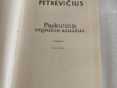 Paskutinis atgailos amžius - nuotraukos Nr. 2