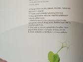 Vmg žurnalas albumas 2013 žiema - nuotraukos Nr. 6