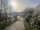 Panoraminis sklypas, namų statybai. A+ lokacija. - nuotraukos Nr. 5