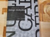 Sniego mokykla