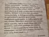 Žaidimas ir pramoga - nuotraukos Nr. 4