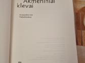 Akmeniniai klevai - nuotraukos Nr. 2