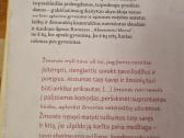 Akmeniniai klevai - nuotraukos Nr. 6