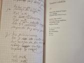 Marcelijus Martinaitis , nenoriu nieko neveikti - nuotraukos Nr. 4