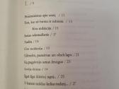 Marcelijus Martinaitis , nenoriu nieko neveikti - nuotraukos Nr. 7