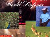 20 AL Di Meola CD+1 Dvd - 160 euru - nuotraukos Nr. 15