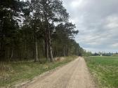 Parduodamas sklypas 0,54 lazdininkai šalia misko - nuotraukos Nr. 6