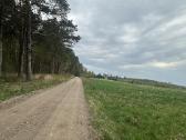 Parduodamas sklypas 0,54 lazdininkai šalia misko - nuotraukos Nr. 10