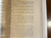 Robinzono gyvenimas ir jo nelaimės 1925 m. - nuotraukos Nr. 3