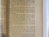 Robinzono gyvenimas ir jo nelaimės 1925 m. - nuotraukos Nr. 4