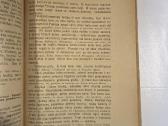 Robinzono gyvenimas ir jo nelaimės 1925 m. - nuotraukos Nr. 5