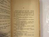 Aš dar kartą grįžtu 1937 m. - nuotraukos Nr. 5
