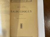 Šalin ginklus 1924 m. - nuotraukos Nr. 2