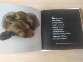 Helen Exley "Mūsų ištikimieji šunys" - nuotraukos Nr. 9