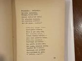 Dičius 1934 m. - nuotraukos Nr. 3