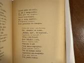 Dičius 1934 m. - nuotraukos Nr. 6