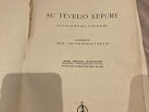 Žitkevičius Su tėvelio kepure - nuotraukos Nr. 2