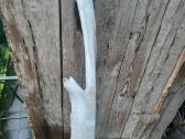 96286913 Peugeot 206 apdaila po lempa kairės pusė
