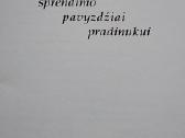 Matematikos taisyklės ir uždavinių sprendimo pvz - nuotraukos Nr. 2