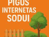 Mobilus internetas - neterminuota sutartis- 12 eur - nuotraukos Nr. 5