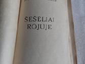 Šešėliai rojuje - nuotraukos Nr. 2