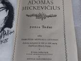 Ponas Tadas - nuotraukos Nr. 2