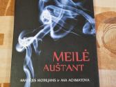 Meilė auštant