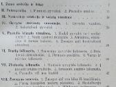 Pasaulio istorija pirmas tomas - nuotraukos Nr. 6