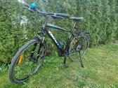 Hibridinis Giant Roam 3