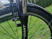 Hibridinis Giant Roam 3 - nuotraukos Nr. 6
