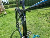 Hibridinis Giant Roam 3 - nuotraukos Nr. 8