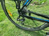 Hibridinis Giant Roam 3 - nuotraukos Nr. 10