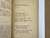 Parinktosios eilės 1923 m. - nuotraukos Nr. 7