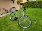 Torino Bottari 24" - nuotraukos Nr. 3