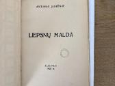 Liepsnų malda 1931 m. - nuotraukos Nr. 2