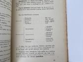 Iš kur mes ateinam ? 1931 m. - nuotraukos Nr. 7