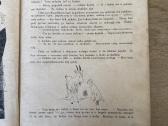 Pasaka apie atkaklųjį ožį 1923 m. - nuotraukos Nr. 4