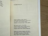 Piligrimai 1939 m. - nuotraukos Nr. 6