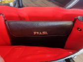 Rankines Prada Ir Michael Kors - nuotraukos Nr. 7