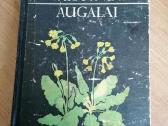 Daug knygu apie gėles, vaistinius augalus,sveikata - nuotraukos Nr. 35