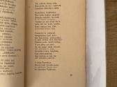 Hiavatos giesmė 1929 m. - nuotraukos Nr. 4