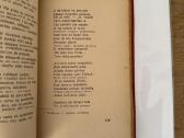 Hiavatos giesmė 1929 m. - nuotraukos Nr. 6