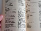 Antikvarinė knyga Lietuviški -vokiški - nuotraukos Nr. 5