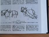 The English Illustrated Dictionary - nuotraukos Nr. 8