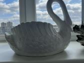 Vazonas Gulbė didelis - nuotraukos Nr. 5