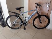 Angliškas Sportinis MTB Apollo