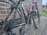 Bottecchia 107 kalnų dviratis - nuotraukos Nr. 5
