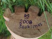 Moderni medinė skulptūra. M. Strioga. Šaukimas - nuotraukos Nr. 4
